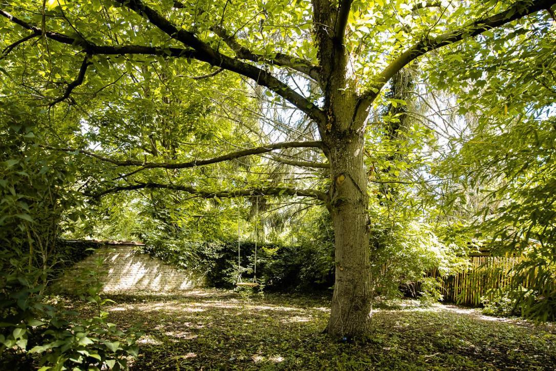 Le Gite Du Jardin Des Secrets Namur Kültér fotó
